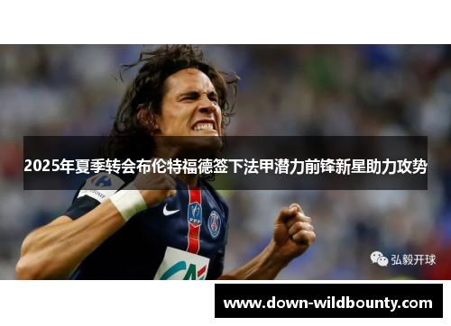 2025年夏季转会布伦特福德签下法甲潜力前锋新星助力攻势 2025年夏季转会布伦特福德签下法甲潜力前锋新星助力攻势