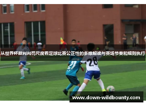 从世界杯裁判判罚尺度看足球比赛公正性的多维解读与赛场节奏和规则执行