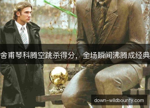 舍甫琴科腾空跳杀得分，全场瞬间沸腾成经典