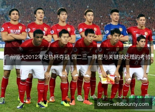 广州恒大2012年足协杯夺冠 四二三一阵型与关键球处理的考验 广州恒大2012年足协杯夺冠 四二三一阵型与关键球处理的考验